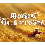 AI中国范儿丨用微缩景观打开“三夏”里的“智慧范”