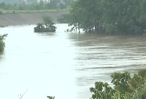 千亩水稻被淹 湖南临湘多条乡道因积水中断