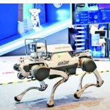 凝心聚力,共筑网络安全防线 ——2024年国家网络安全宣传周活动见闻