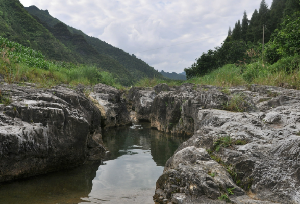 央媒看湖南丨桑植：九山半水半分田 路通物丰百业兴