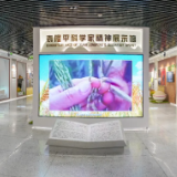 用音乐为思政插上翅膀