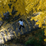 好评中国丨系统施策，让传统村落“活起来”