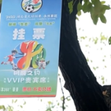 “树上挂票”里的治理温度