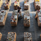 醴陵“工业旅游”的科技之力与人文之美