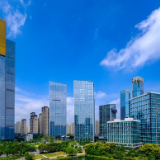 厚植友好沃土 打造年轻人集聚新高地