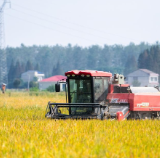 好评中国丨从政策深处到田埂之上 让“三农”活力遍田野