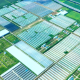 好评中国丨端牢“中国饭碗”，三管齐下筑牢粮食安全基石