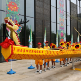 潇湘龙舟入北京，“划”出文化新航道