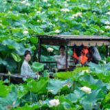 好评中国丨盛夏文旅“热”，共绘消费新图景