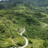 好评中国丨“四好农村路”串起乡村振兴新图景