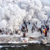 好评中国丨读懂居民收入数据中的“民生暖意”