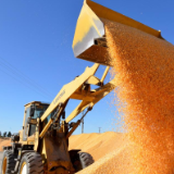 好评中国丨以人才“蓄水池”激活乡村振兴新动能