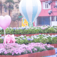 长沙世界之窗恢复开园，游客开启赏冬游园之旅