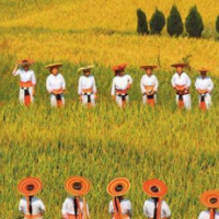 朗诵丨肖建新：稻香怀化