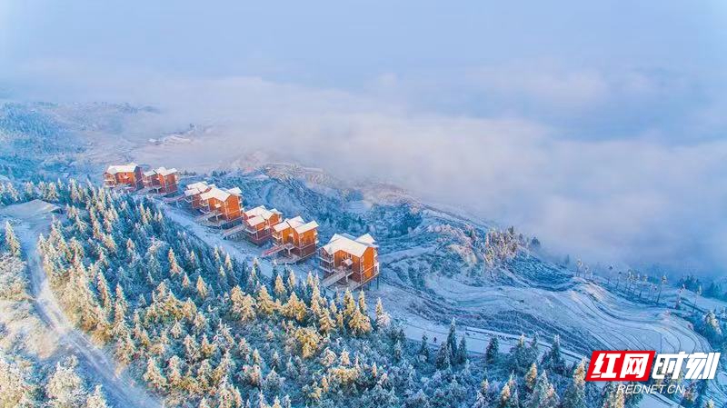 4b8b87ae487ad2bead7c5f8c32caf88.jpg 4b8b87ae487ad2bead7c5f8c32caf88.jpg