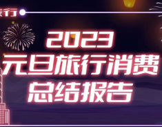 国内多城跨年夜游重现人山人海，携程：跨省游用户比例大增20%