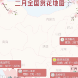 赏花游预订量同比暴增880% 接力春季市场主旋律