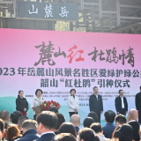 一颗杜鹃树的初心之旅：韶山“红杜鹃”种在了岳麓山