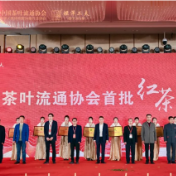 浮梁茶亮相2023首届中国红茶大会暨坦洋工夫茶旅文化节