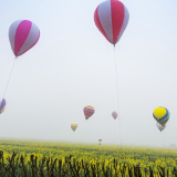 湖南油菜花节启幕 13个乡镇村获评“湖南最美油菜花乡村旅游点”