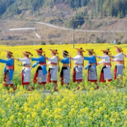 相约春天共赴油菜花盛宴 2023湖南油菜花节溆浦分会场开幕