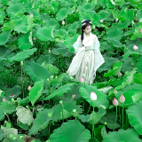 做活“花经济” 汝城金山村“荷”你有约
