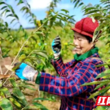 我的驻乡初体验 | 那人•那产业•那种精神