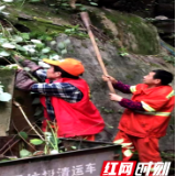 背街小巷展新颜 党群助力“网格蓝”