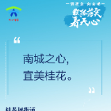 强省会·向未来 狠抓落实看天心丨桂花坪街道