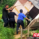 整治圈地种菜乱象 推进市容环境提升