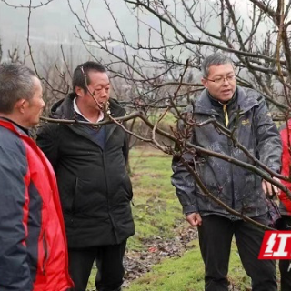 果农迎来了果树栽培专家     乡村振兴有了科技赋能