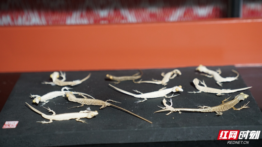 微信图片_20251104164613_65_1144.jpg 微信图片_20251104164613_65_1144.jpg