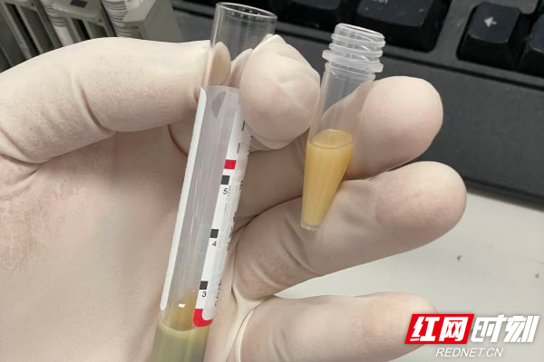 是偶偶.jpg 是偶偶.jpg