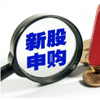 打新请注意 本周4只新股来了