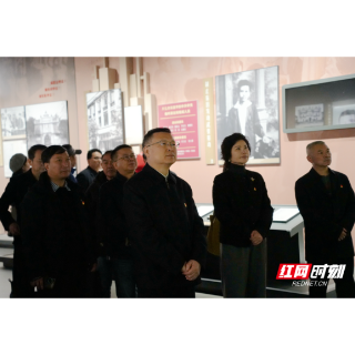 岳阳市文联：以红色家风涵养文艺新风