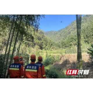 岳阳:从指间到林间,双节“防火拍客”守护青山无恙