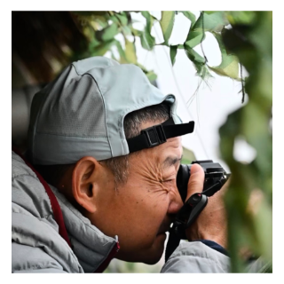 视频丨又是一年候鸟归 各路摄影师齐聚岳阳东古湖拍摄候鸟