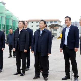 李挚赴正大岳阳有限公司调研