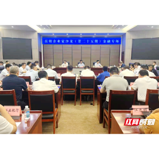 精准对接融资需求 赋能民营经济发展 岳阳企业家沙龙金融专场举行