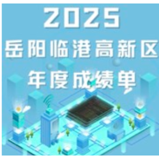 岳阳临港高新区2025年度成绩单！