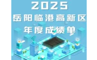 岳阳临港高新区2025年度成绩单！