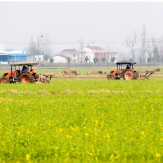 岳阳：阳春三月春耕忙