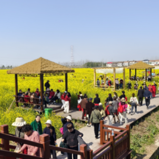 视频丨长江边“顶流花神”上线！3万人为TA奔赴而来