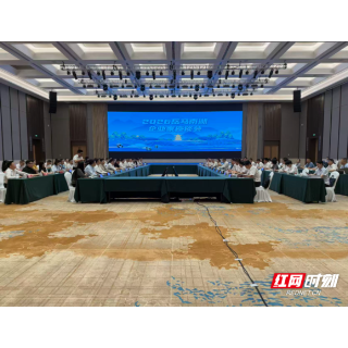 领跑•南湖②|从“跑场”到“会场”:岳阳南湖的“动感招商”启示录