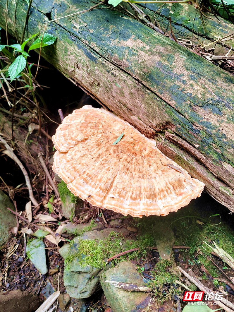 241_副本.jpg 241_副本.jpg