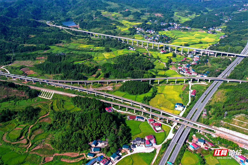 《张吉怀富民路》 杨崇德   摄 .jpg