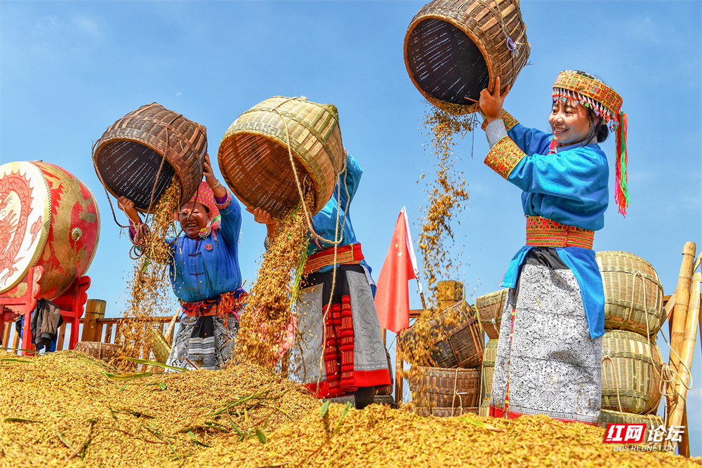 《瑶乡丰收的喜悦》饶以春   摄  .jpg