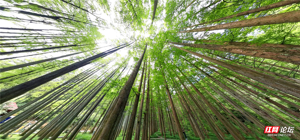 mmexport1761702414706.jpg mmexport1761702414706.jpg