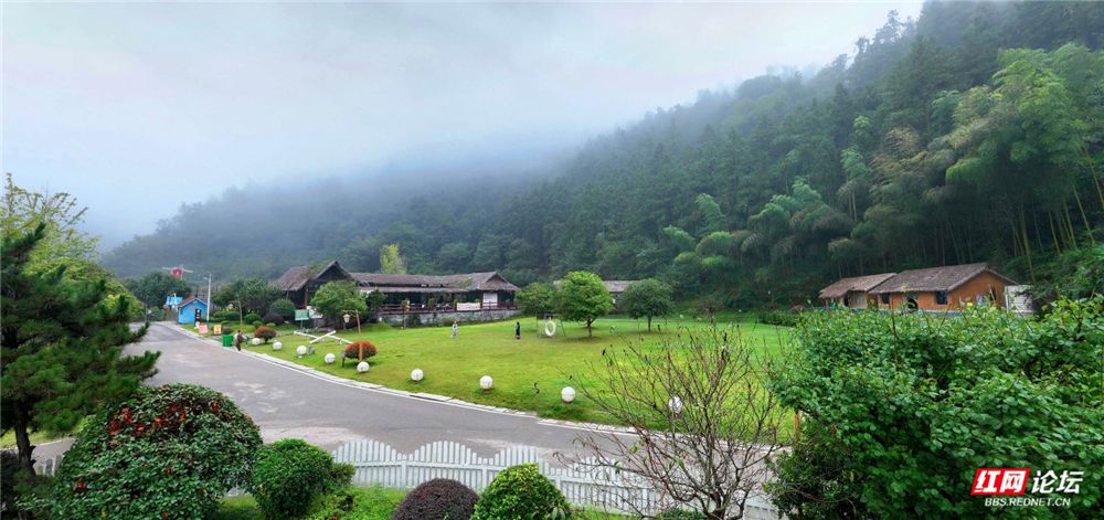 mmexport1761702424737.jpg mmexport1761702424737.jpg