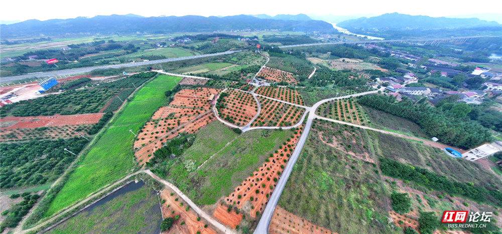 mmexport1761702407018.jpg mmexport1761702407018.jpg